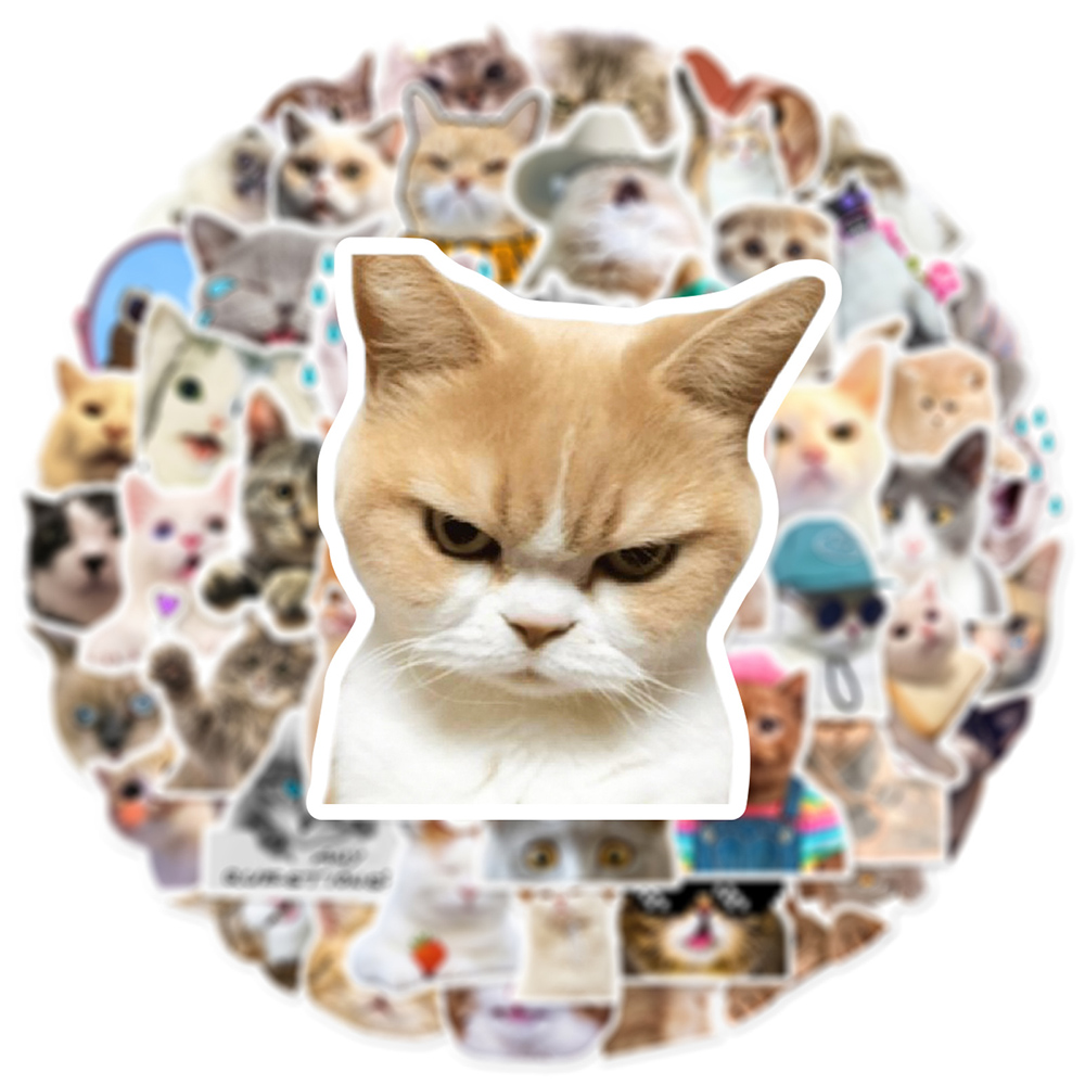 10/30/50 個かわいい猫ミームステッカー面白い動物子猫 - Phone Cases Wholesale のレビューと価格