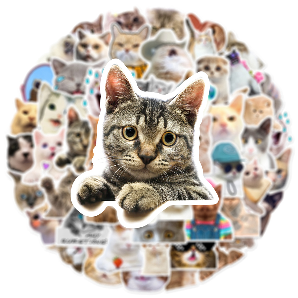 10/30/50 個かわいい猫ミームステッカー面白い動物子猫 - Phone Cases Wholesale のレビューと価格